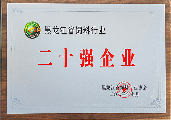 二十强企业